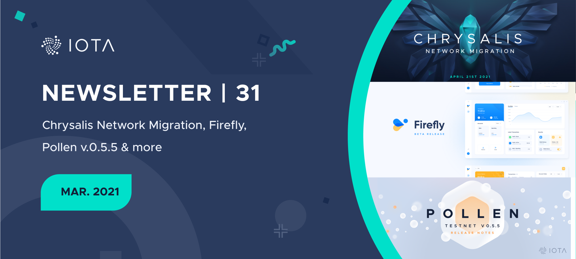 IOTA Newsletter #31 - Chrysalis Network Migration, Firefly, Pollen v0.5.5 & more.