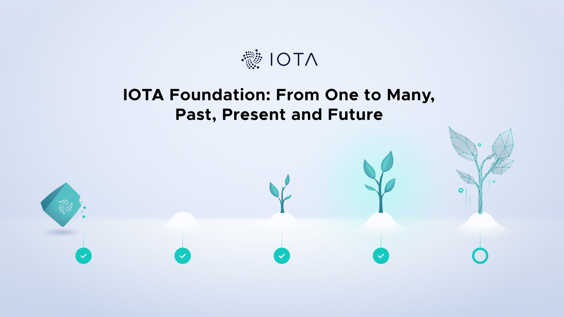 IOTA Foundation From One to Many