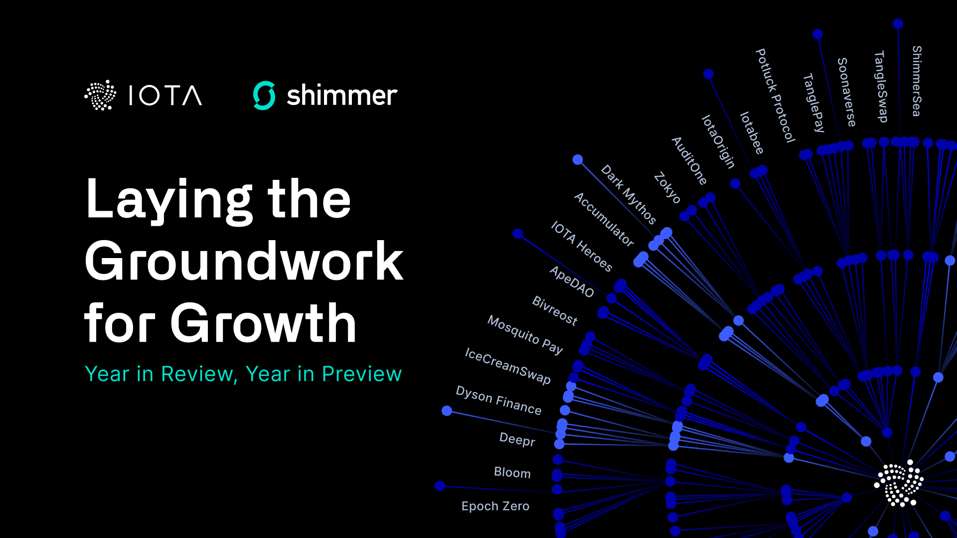 IOTA and Shimmer: Laying the Groundwork for Growth