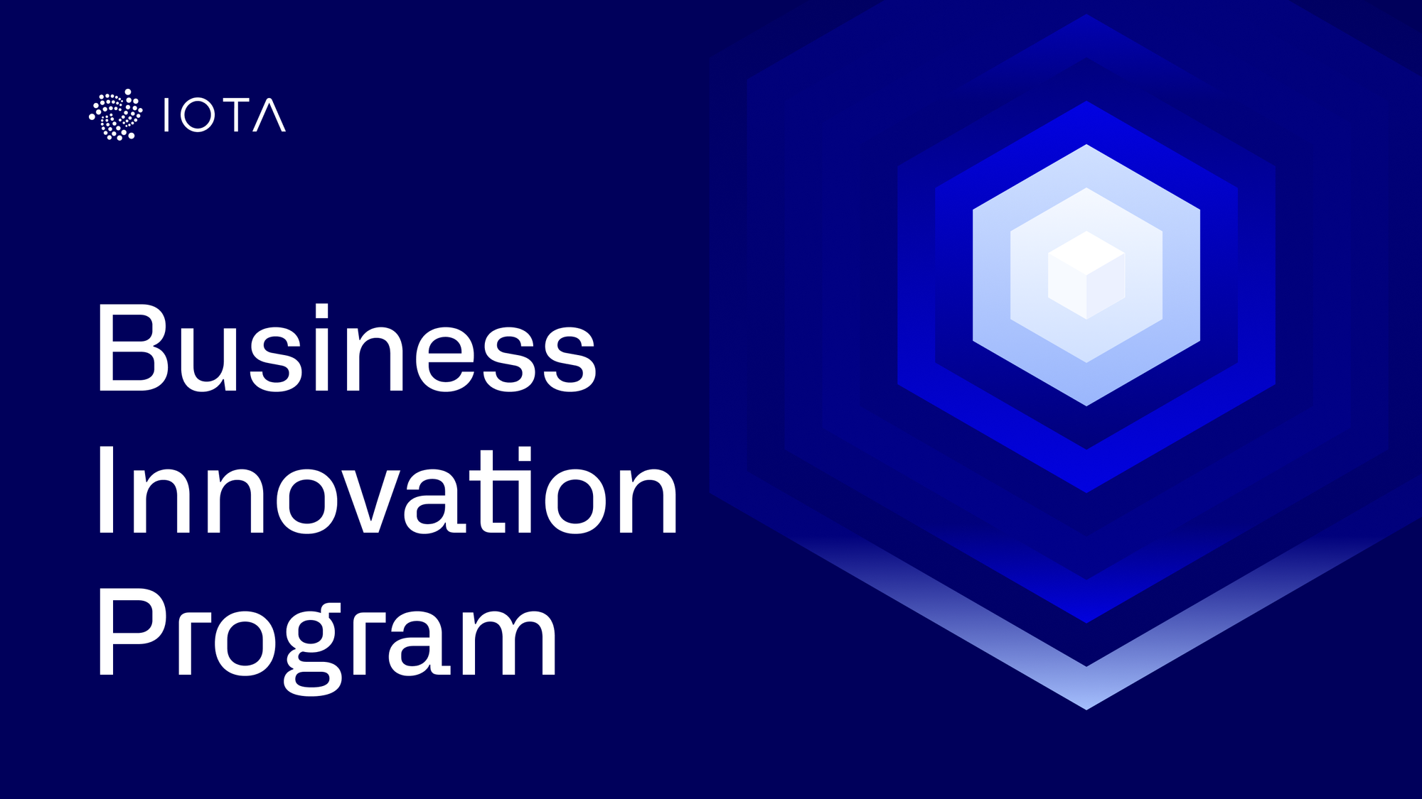 IOTA Business Innovation Program