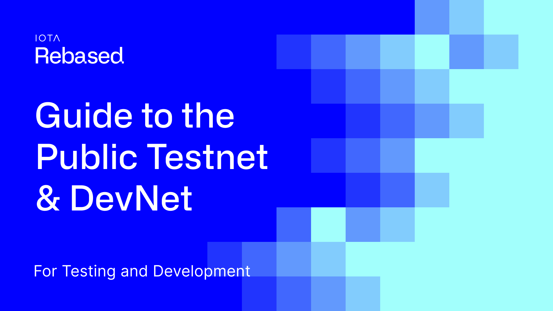 IOTA Rebased: Public Testnet and DevNet Guide